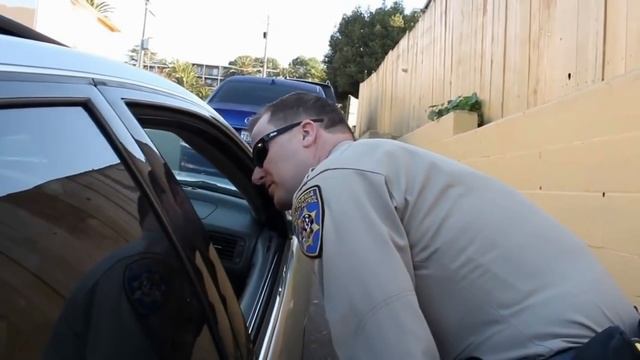 История Кары Нотт(Cara Knott), которая так и не вернулась