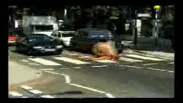 Caracol en un paso de zebra смотреть онлайн