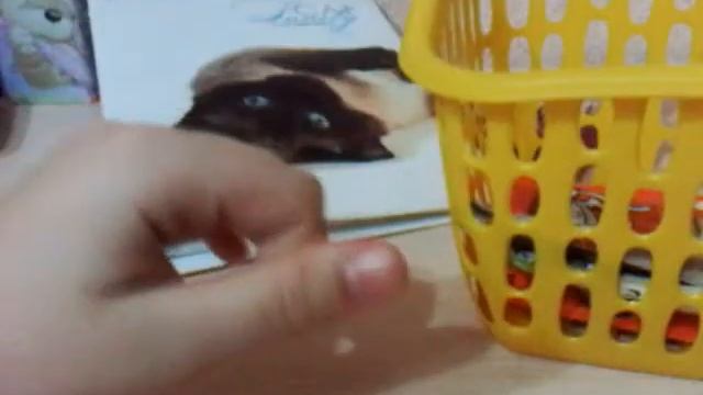 Все вкусняшки Ириски смотреть онлайн