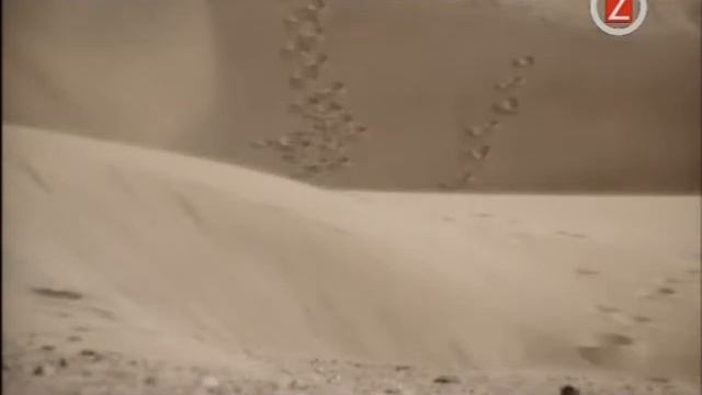 Dj Aligator Project - Protect your ears смотреть онлайн