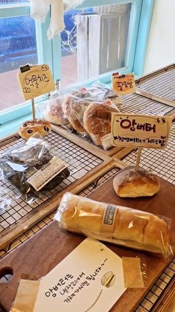 제주 천연발효빵 치아바타 전문점 동명동락을 소개합니다 #제주여행 #제주카페 #제주맛집 #제주서쪽여행 #쇼츠 #shorts #제주 #동명동락 #치아바타 смотреть онлайн