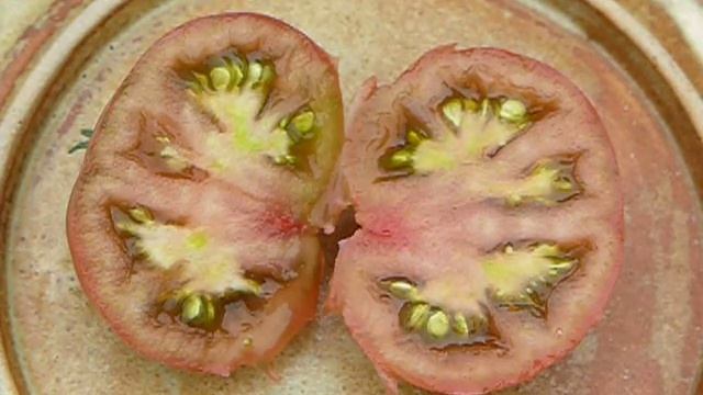Haleys Purple Comet Tomato Taste Test смотреть онлайн