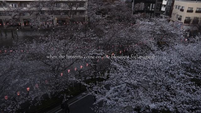Spring Cherry Blossoms in Tokyo, Slow Living, Japan Silent Vlog смотреть онлайн