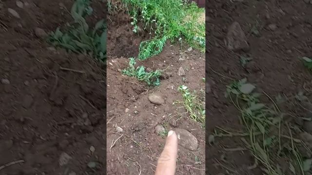21 июля 2023 г. смотреть онлайн