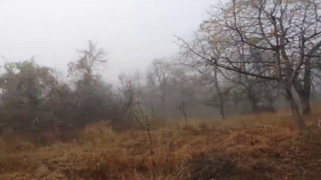 Човекоподобни същества от цига*ската виша раса,тормозят бедни български аборигени смотреть онлайн