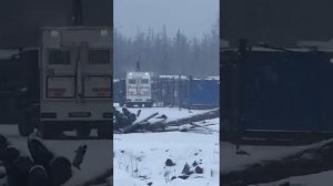 Нападение медведя на людей