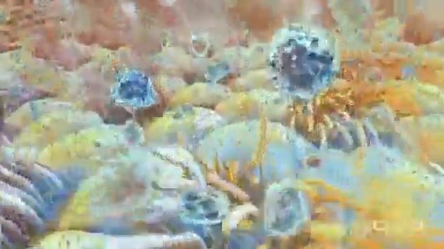 Antigenic Shift the Spread of a New, Mutated Virus смотреть онлайн