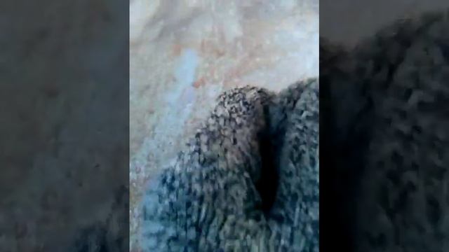 лазили по крышам смотреть онлайн
