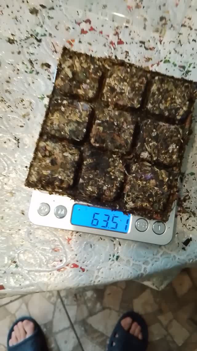 ЧАЙ ПЧЁЛКИНЫ СЛЁЗЫ