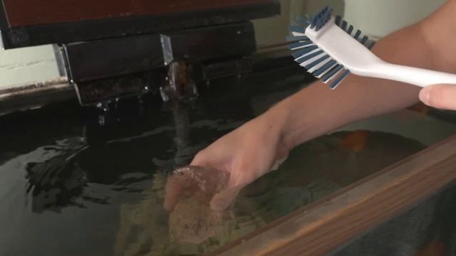 Magic Tank Rock смотреть онлайн