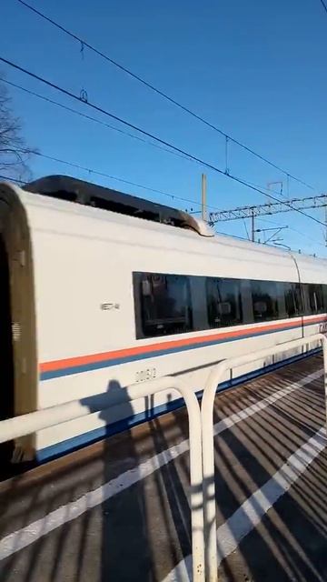 Поезд "Сапсан" проследует станцию. смотреть онлайн