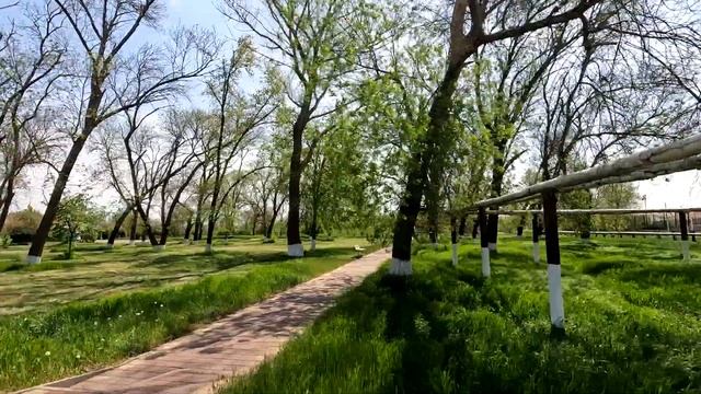 ст Ольгинская Приморско-Ахтарский район Краснодарский край