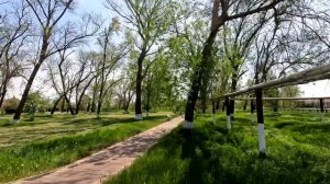 ст Ольгинская Приморско-Ахтарский район Краснодарский край