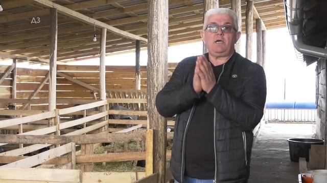 Zaradjujem na FARMI VIŠE NEGO DIREKTOR BANKE ILI GASTARBAJTER , evo kako radi najveća FARMA OVACA.. смотреть онлайн