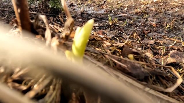 Делаем так и не паримся. смотреть онлайн