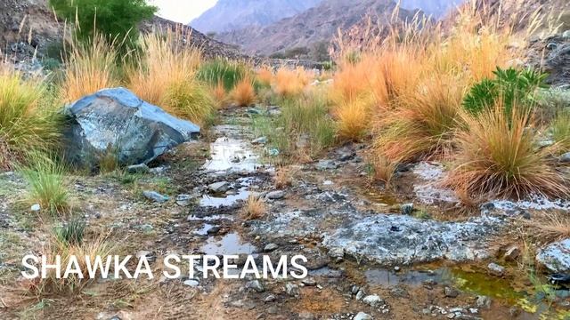 TOP FIVE CAMPING AND BARBECUE SPOTS-RAS AL KHAIMAH-FUJAIRAH-SHARJAH-CAMPING SPOTS IN UAE 🇦🇪 смотреть онлайн