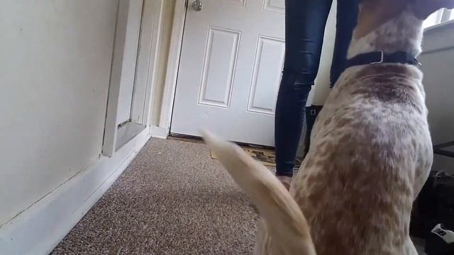 Fostering Ora -- Wait at the Door, outside смотреть онлайн