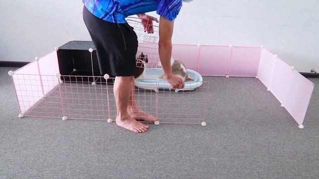 DIY Mobile House (Have Relaxation Area) for Pomeranian Poodle Dogs & Cute Kitten - MR PET Family смотреть онлайн