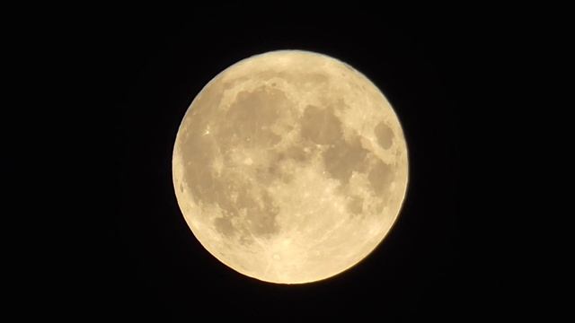 Моя Луна - The white side of the moon смотреть онлайн