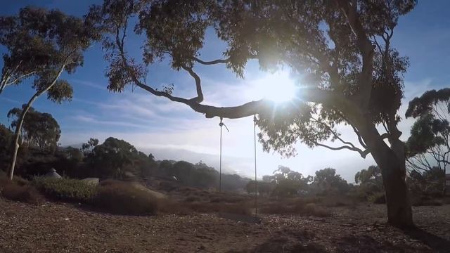 La Jolla California Hidden Swings смотреть онлайн
