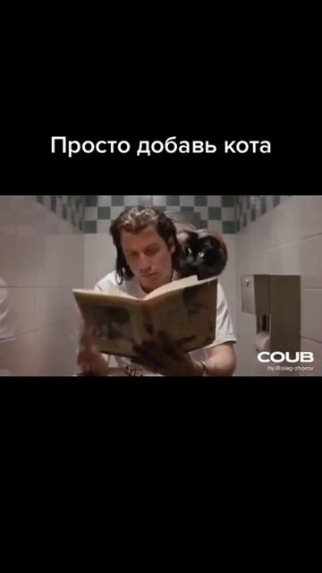 cat кот кошка смотреть онлайн