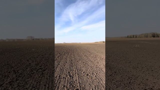 Урал. 8.10.24 смотреть онлайн