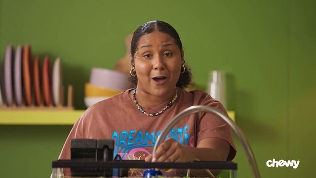 How To Clean A Fish Tank | Chewtorials смотреть онлайн