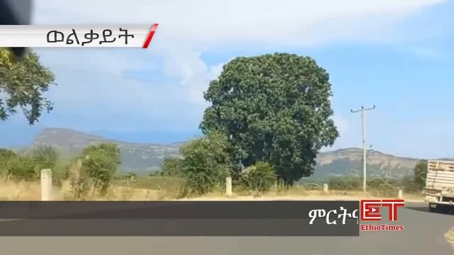 Ethiopia: ሰበር ዜና - የኢትዮታይምስ |አስደንጋጭ መረጃ|በሽመልስ አብዲሳ ሾልኮ የወጣ መረጃ|ተቃወሙ|ለአማራ ህዝብ ጥሪ ቀረበ|የዶ/ር አብይ መልዕክት смотреть онлайн