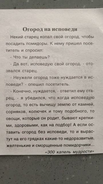300 капель мудрости. смотреть онлайн