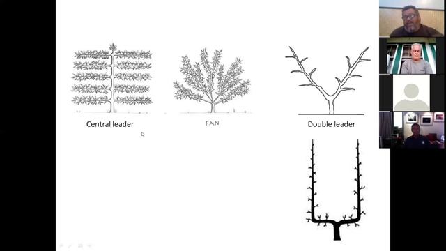 Mango Loa Project: High density mango farming смотреть онлайн