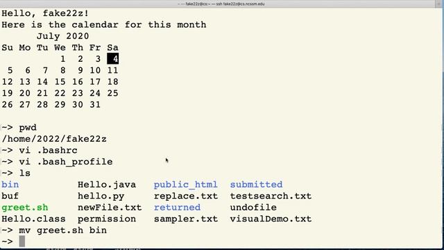 Writing a Shell Script смотреть онлайн