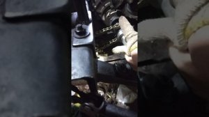 мотороллер муровей на вариаторе и мотор 15 лс.