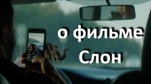 о фильме "Слон", реж. Г. Петросян, (2022 г.)...//... насколько можно доверять своим предположениям..