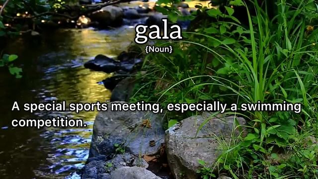 Gala Meaning : Definition of Gala смотреть онлайн