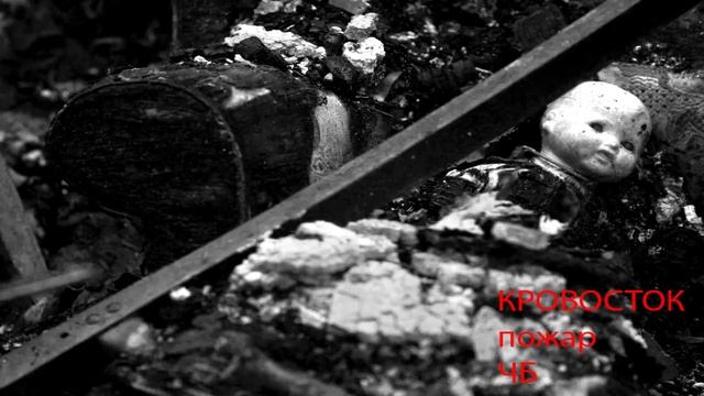 Звериная жизнь и природы растений