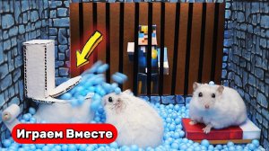 Побег Хомяка из Секретной тюрьмы с ЛОВУШКАМИ ! Видео для детей !