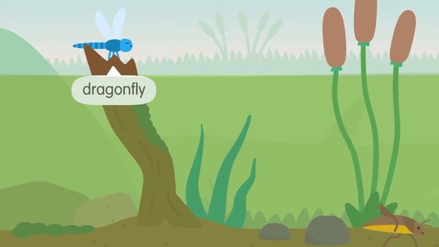 Sago Mini School Ponds - Fun New Spelling & Counting Activities - Best App For Kids