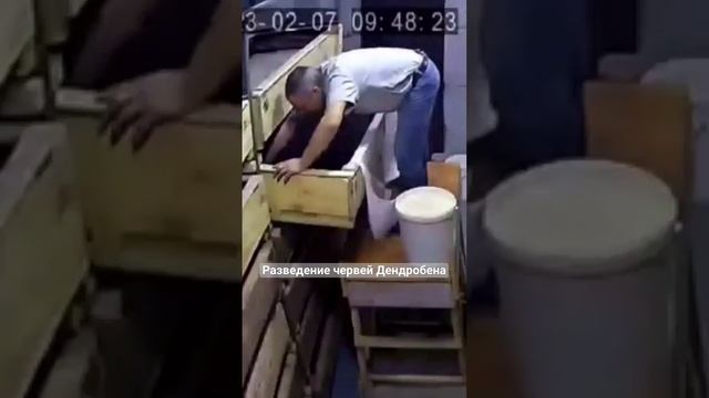 Будни вермера. смотреть онлайн