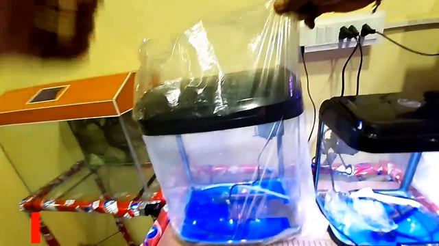 New moulded & custom fish tank New Aquarium fish tank with prices in Bangalore India смотреть онлайн