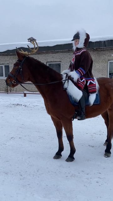 Конь олень #horse #winter #cristmas смотреть онлайн