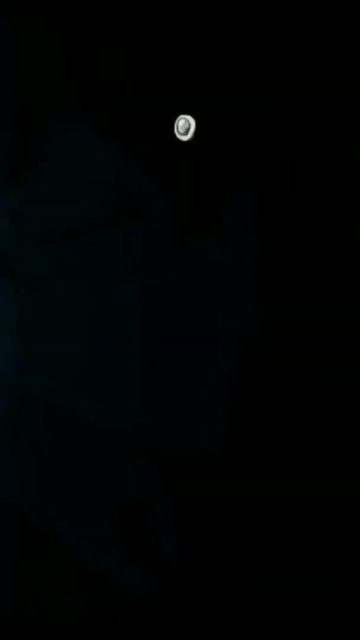 лисица Сенко🦊 смотреть онлайн