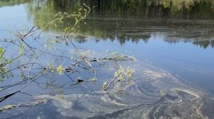 Поехали на рыбалку на питбайке и квадроцикле