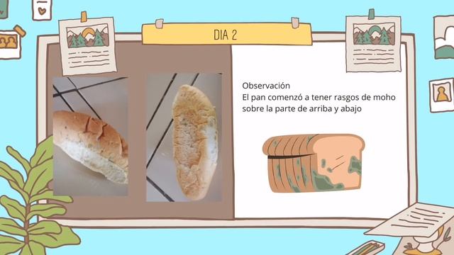 MOHO EN EL PAN EXPERIMENTO🍞🧫🧪 смотреть онлайн