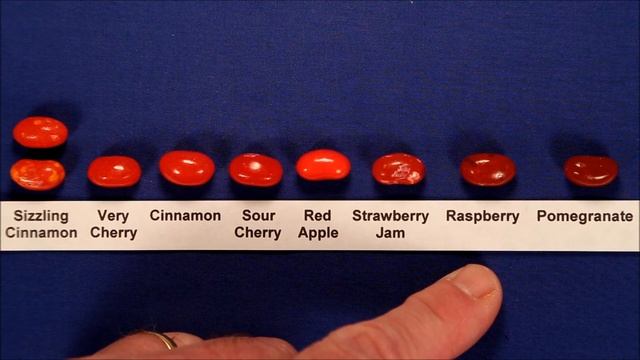 Jelly Belly Indentification And Flavor Guide