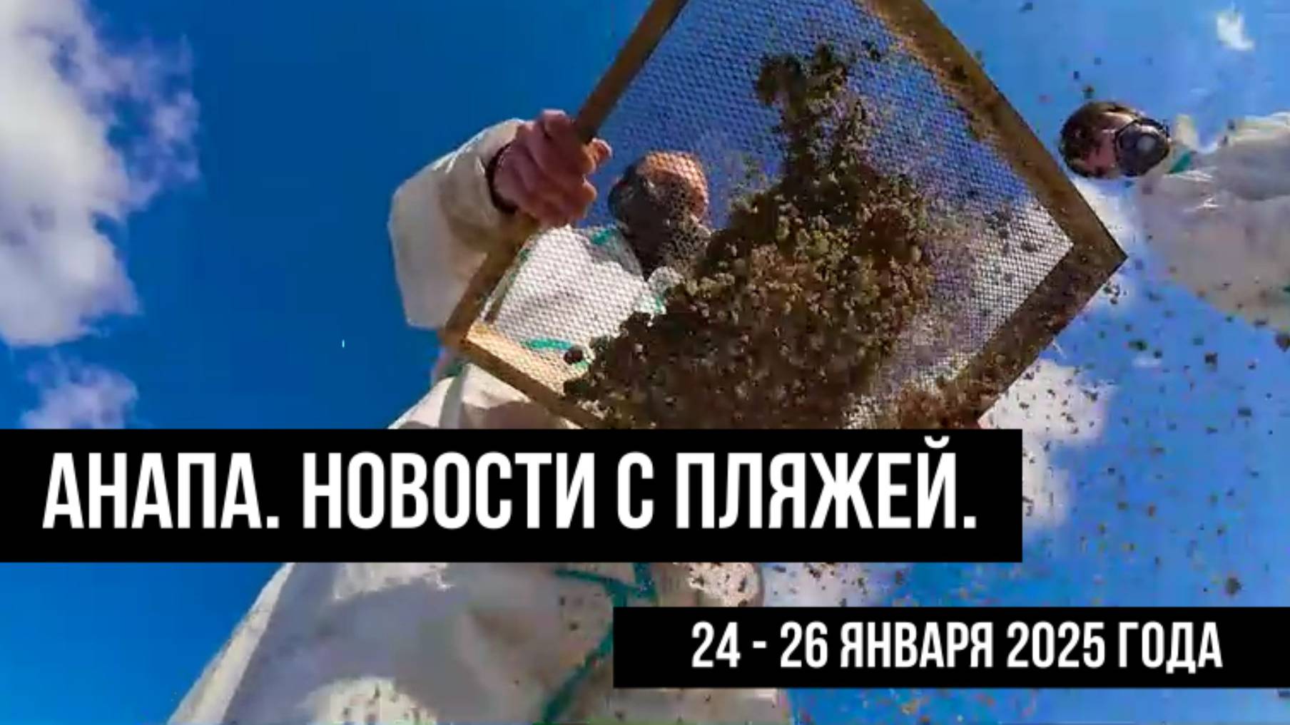 Анапа 24-26 января 2025 года. Новости с пляжей. смотреть онлайн