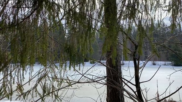 ТЫ САМ СВОИХ РОДСТВЕННИКОВ ВЫГОНИШЬ?... | Истории из жизни. смотреть онлайн