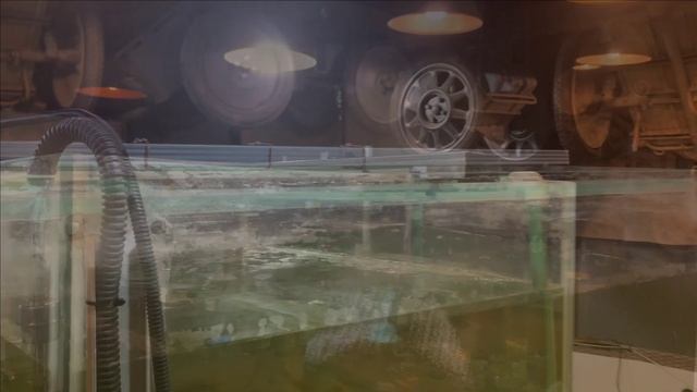 КАРПЫ КОИ в пруду в гараже.Изготовление светильника для аквариума. смотреть онлайн