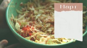 КВАШЕНАЯ КАПУСТА: когда квасить капусту по лунному календарю? БЛАГОПРИЯТНЫЕ ДНИ засолки МАРТ 2024