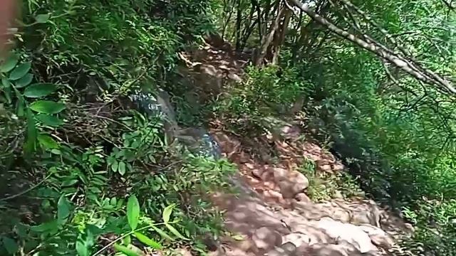 Гора АРУНАЧАЛА ИНДИЯ ТИРУВАННАМАЛАЙ