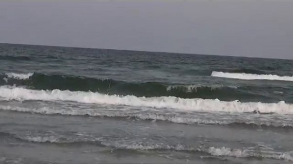 Omar Akram   Whispers in the Moonlight by MONIA